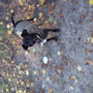 Meet your Posher, Seth